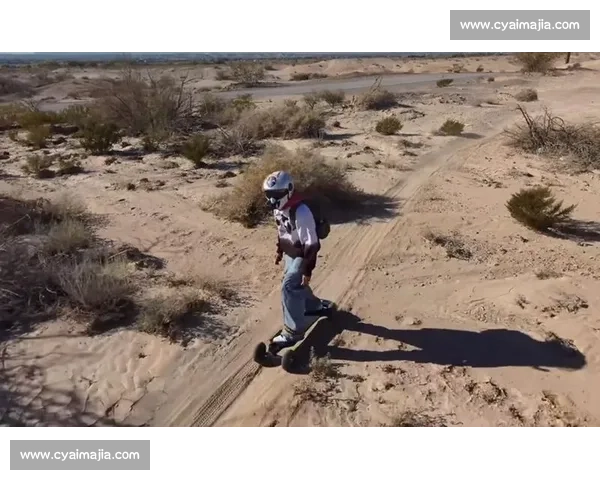 ArborTriad震撼亮相：Ace Pelka 领衔演绎滑板狂想曲