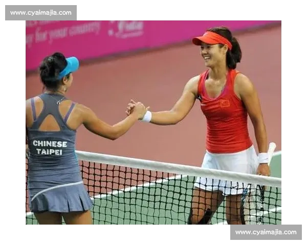 李娜对决彭帅中国网坛巅峰之战引发时代回响与传奇精神的正面碰撞